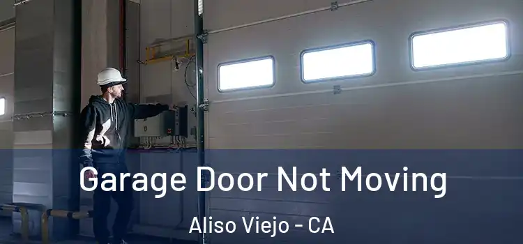  Garage Door Not Moving Aliso Viejo - CA