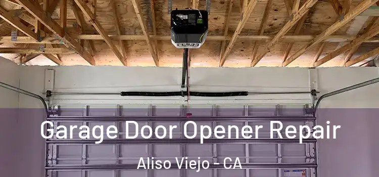  Garage Door Opener Repair Aliso Viejo - CA